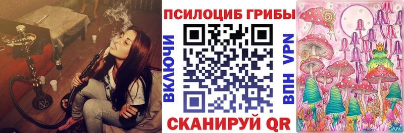 Псилоцибиновые грибы прущие грибы Петров Вал